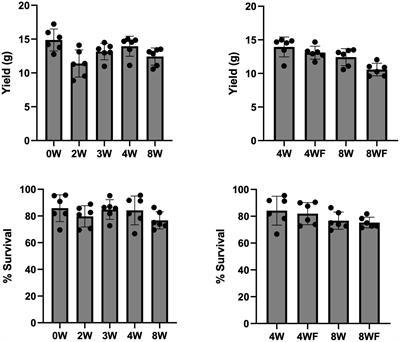 Suitability of maize crop residue fermented by Pleurotus ostreatus as feed for edible crickets: growth performance, micronutrient content, and iron bioavailability